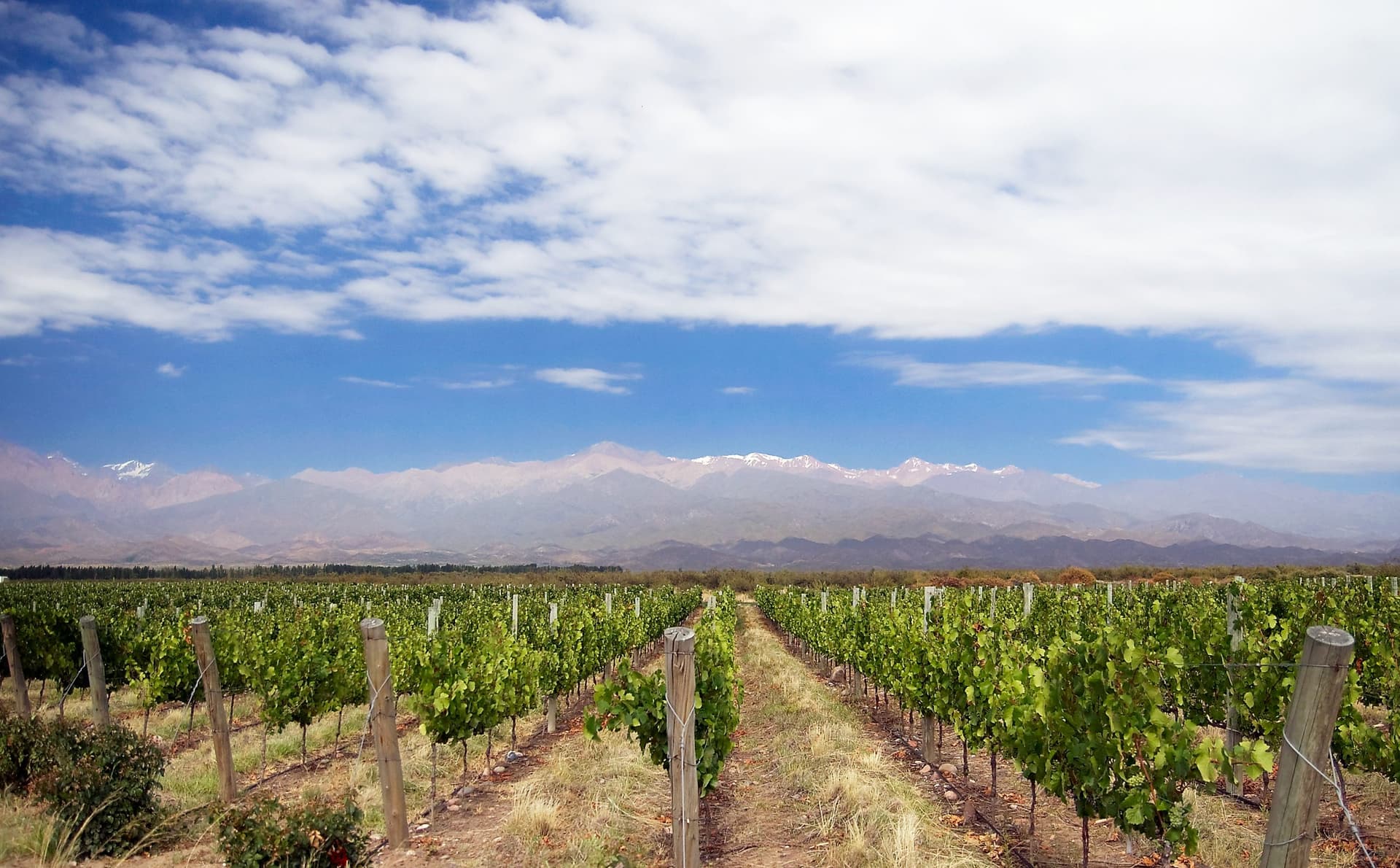 Valle de Uco