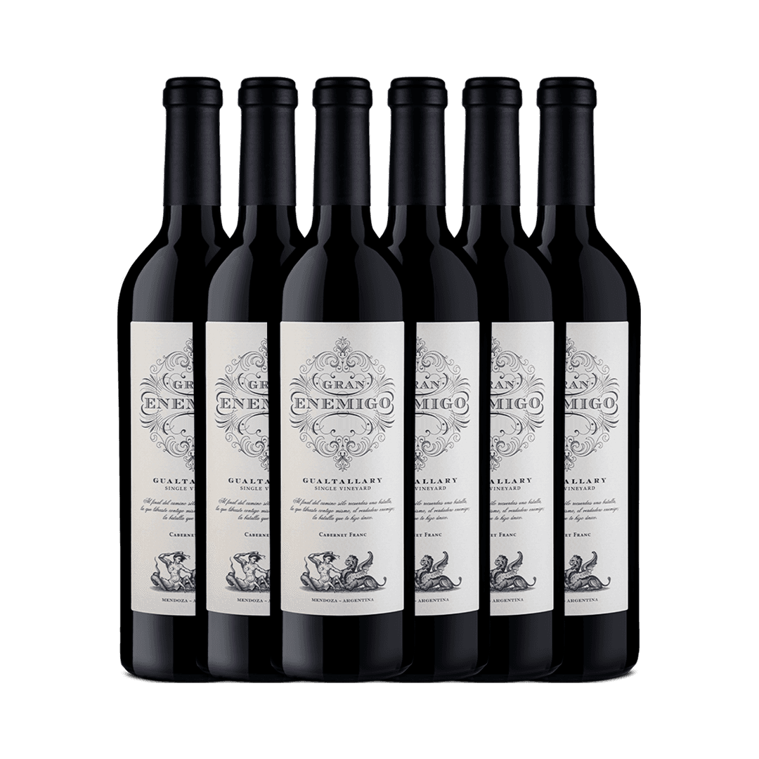 Cabernet Franc Aleanna Gran Enemigo Gualtallary 750 ml