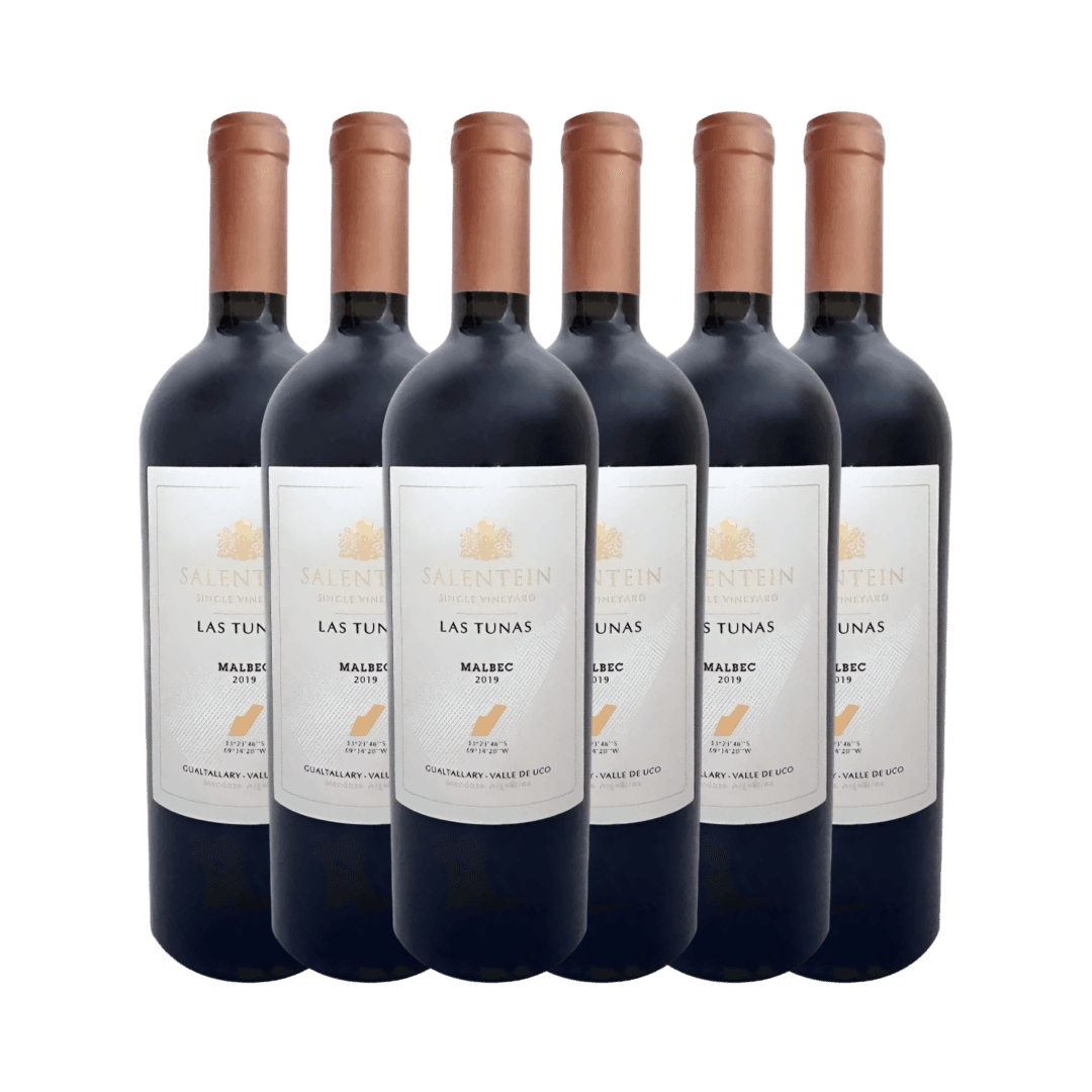 Malbec Salentein las Tunas Single Vineyard Gualtallary 750 Ml.